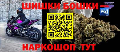 индика Кунгур