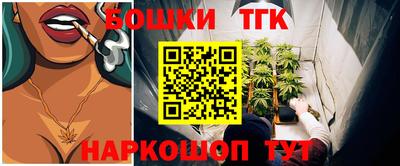 индика Кунгур