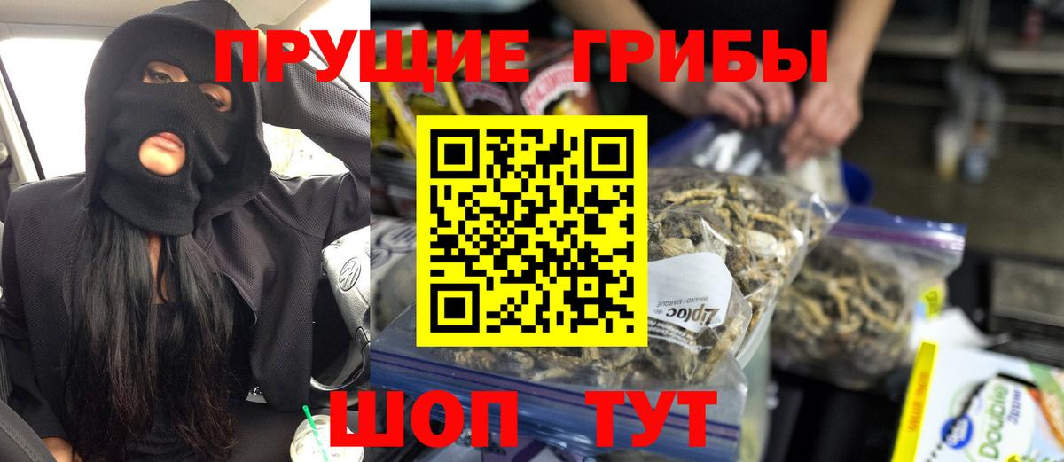 Псилоцибиновые грибы мухоморы Азнакаево